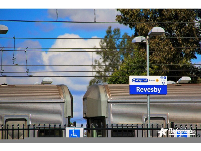 3a Rhonda Street, Revesby NSW 2212