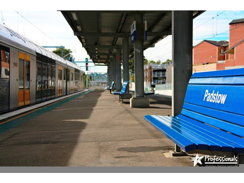 3a Rhonda Street, Revesby NSW 2212