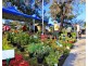 14 Dickenson Street, Panania NSW 2213