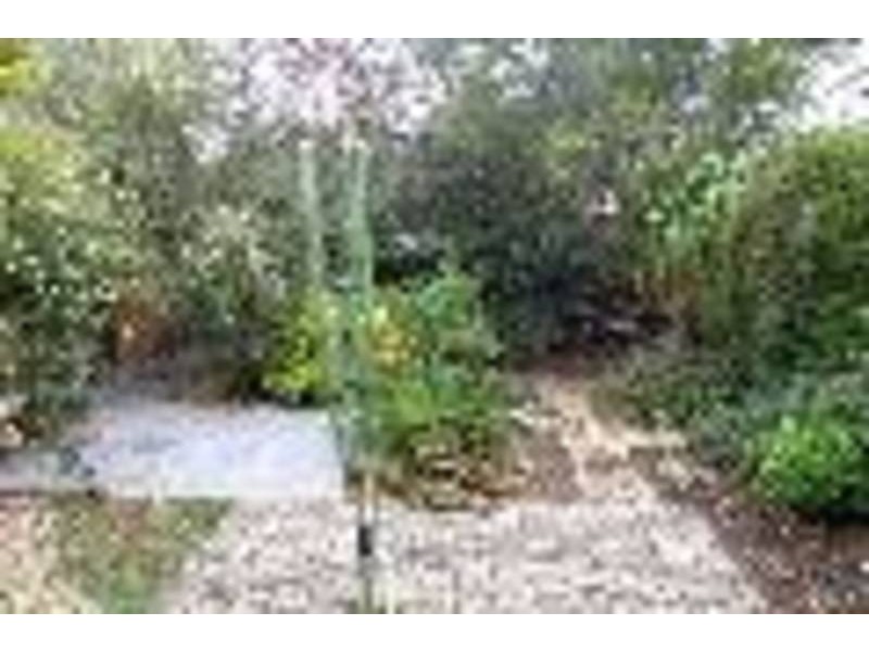 25 Louie Street, Padstow NSW 2211