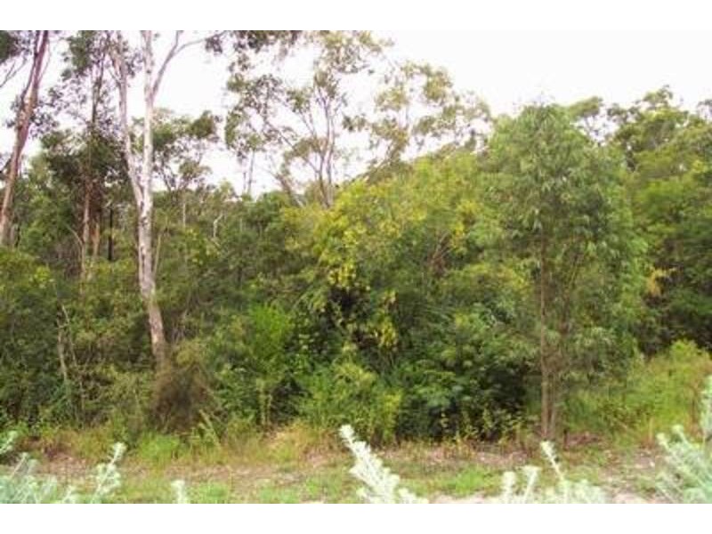 44B Thomas Street, Picnic Point NSW 2213