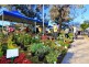 2A  Laundess Avenue, Panania NSW 2213