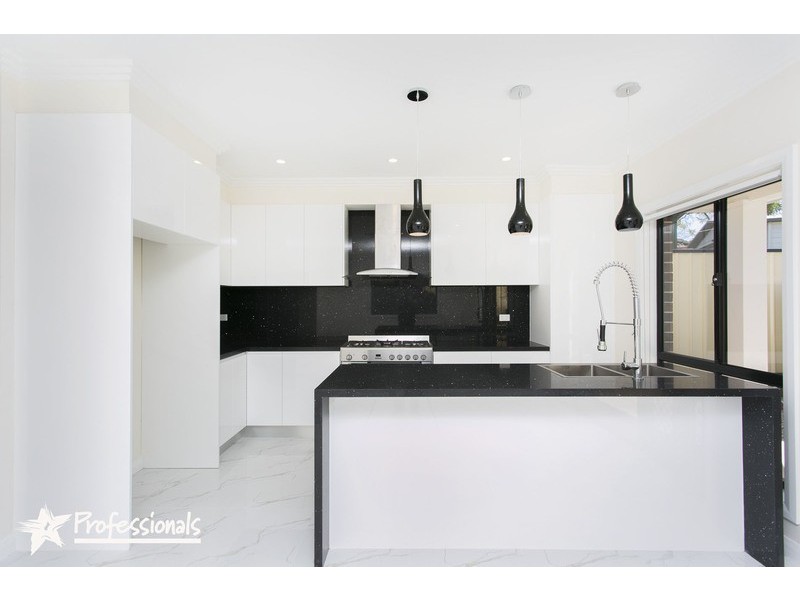 117B The River Road, Revesby NSW 2212