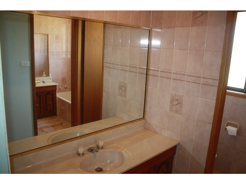 42 Mae Crescent, Panania NSW 2213