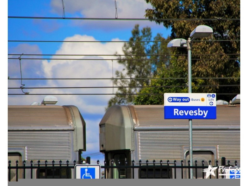 3 Rhonda Street, Revesby NSW 2212