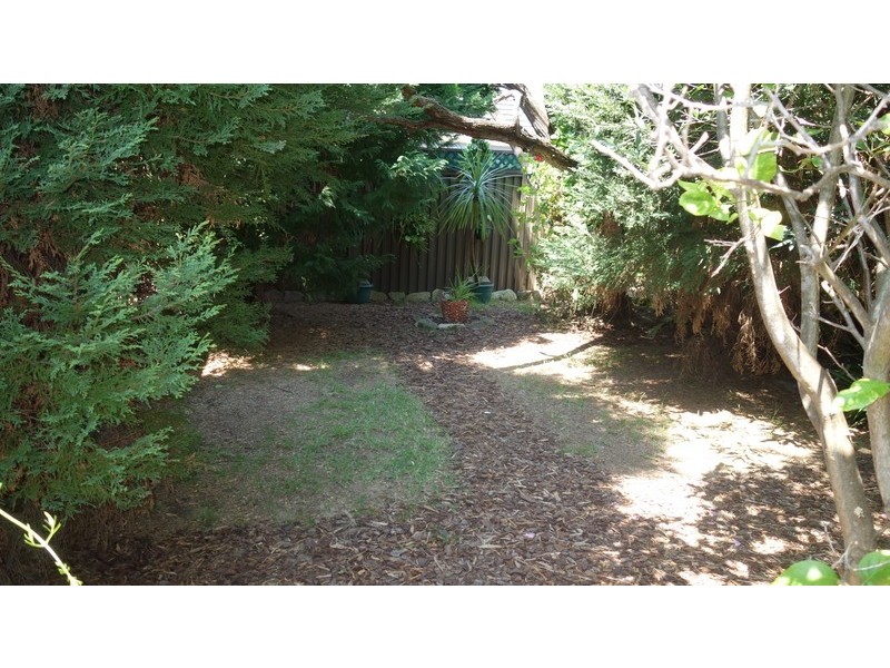 107 Vega Street, Revesby NSW 2212