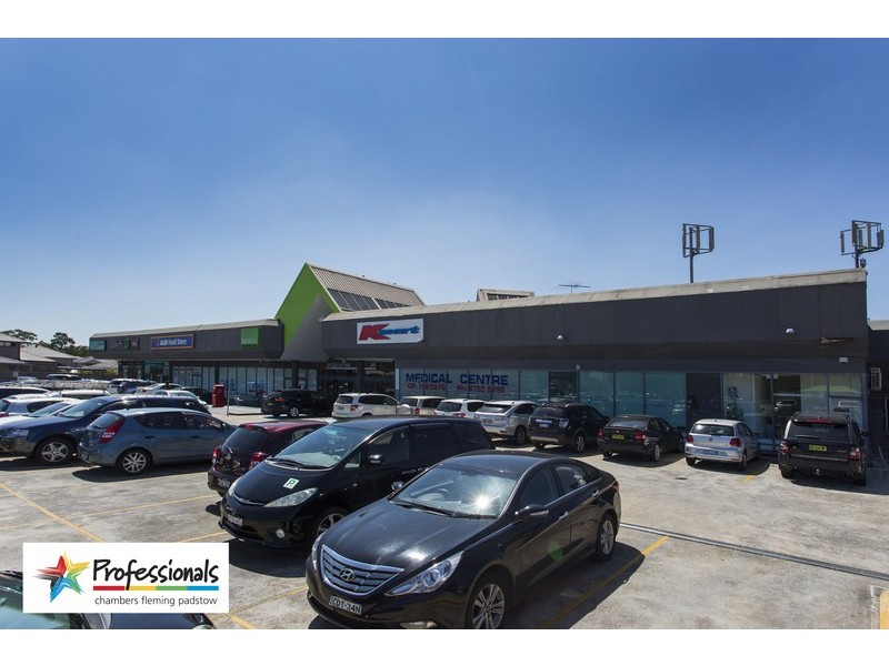 16 Flinders Road, Georges Hall NSW 2198