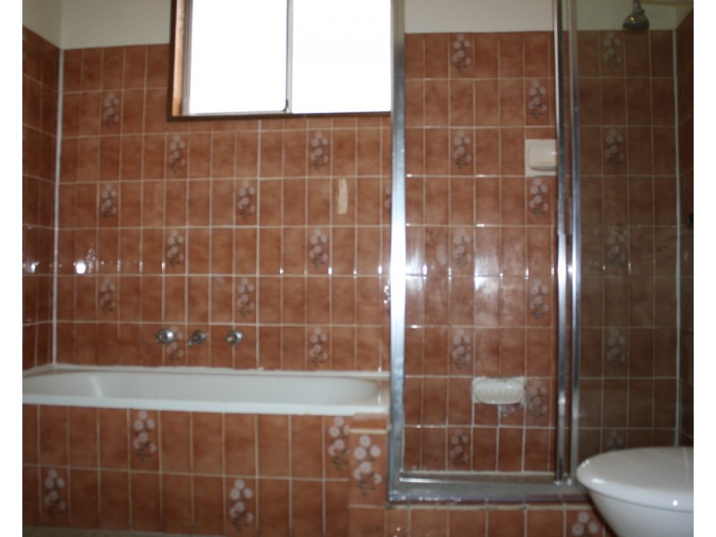 3 Milton North Street, Ashfield NSW 2131