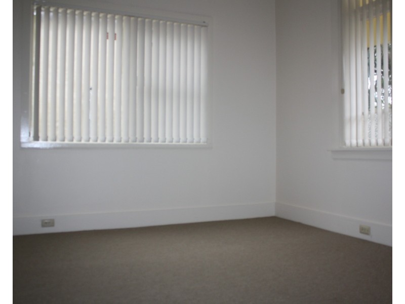 3 Milton North Street, Ashfield NSW 2131