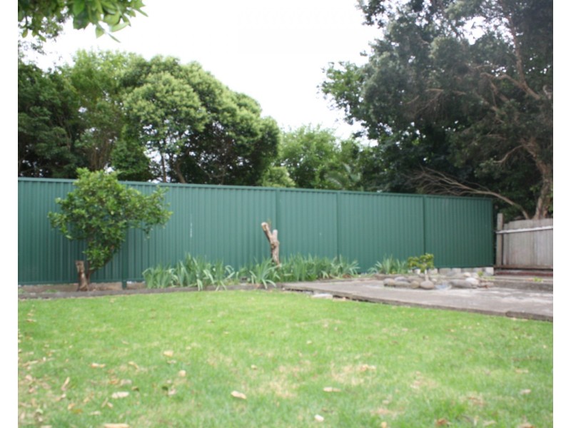 3 Milton North Street, Ashfield NSW 2131