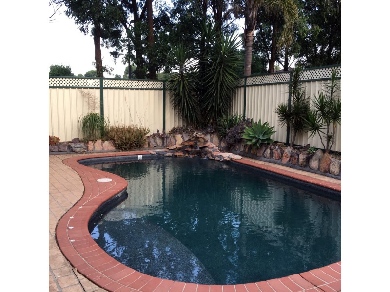 8 Thow Place, Currans Hill NSW 2567