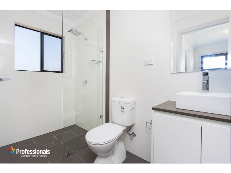 13a Sunny Crescent, Punchbowl NSW 2196