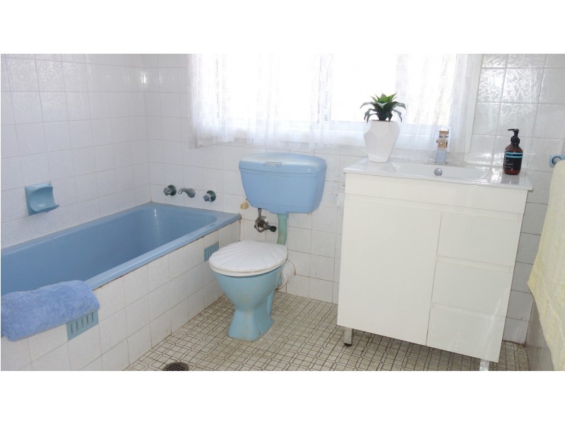 98 Carrington Street, Revesby NSW 2212