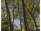 15 Raftree Avenue, Padstow Heights NSW 2211