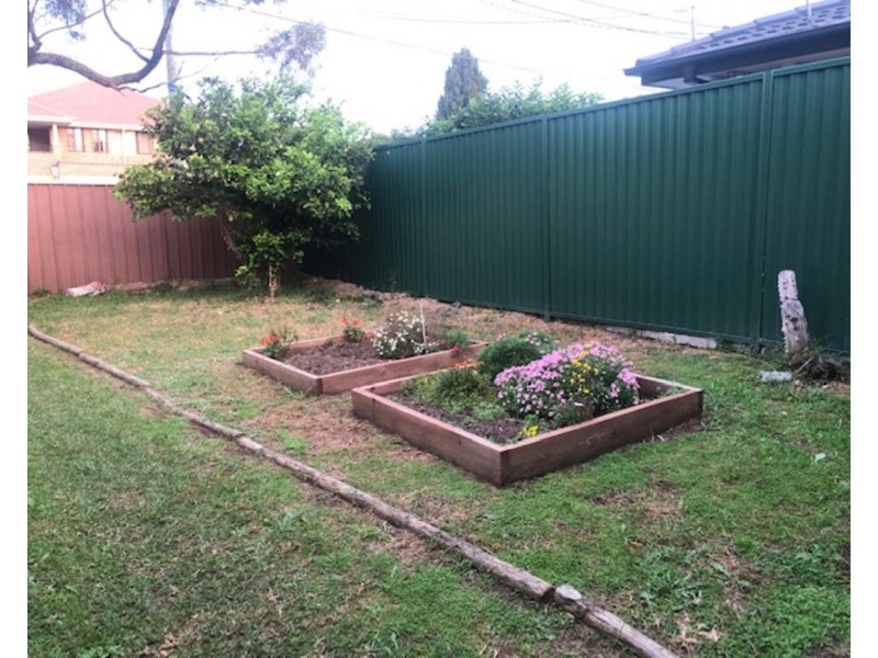 43 Watson Avenue, Padstow NSW 2211