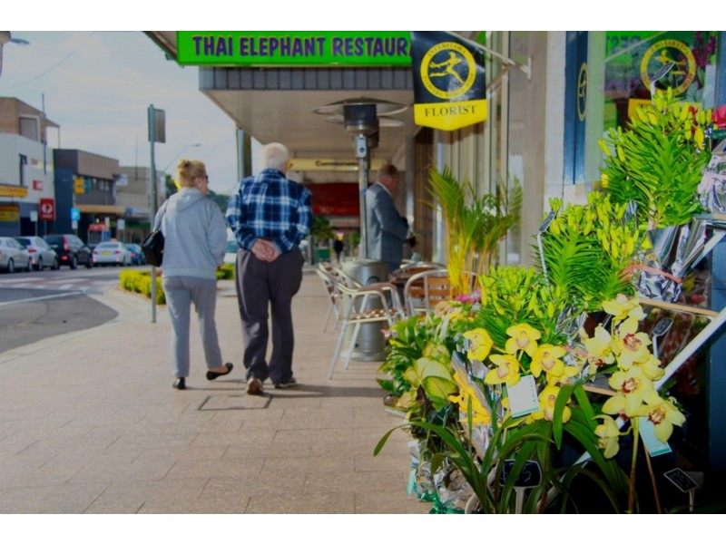 66 Cahors Road, Padstow NSW 2211