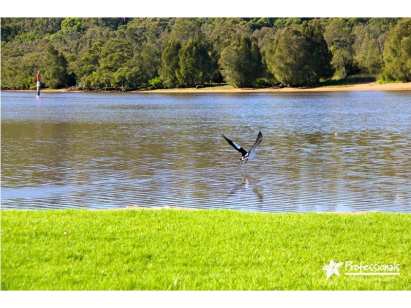 123 Sandakan Road, Revesby Heights NSW 2212