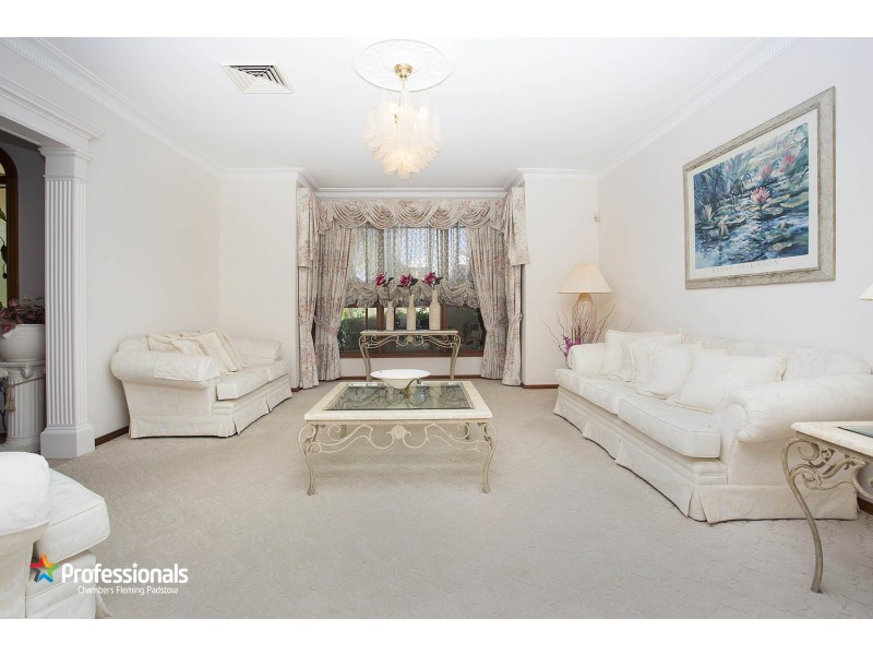 20  Parys Close, Menai NSW 2234