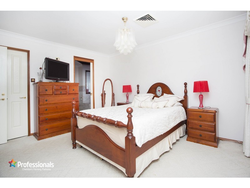 20  Parys Close, Menai NSW 2234