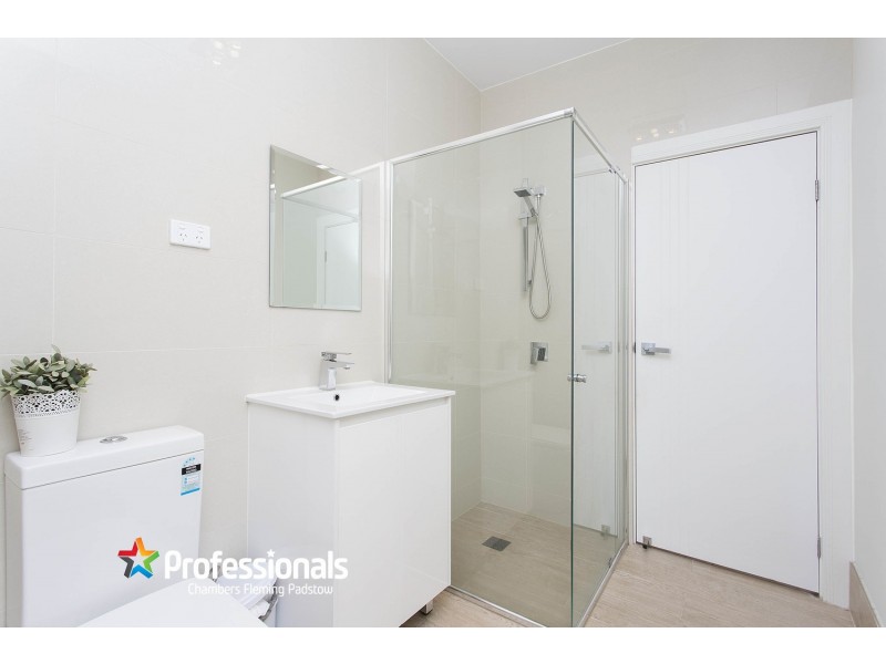 21 Seidel Avenue, Picnic Point NSW 2213