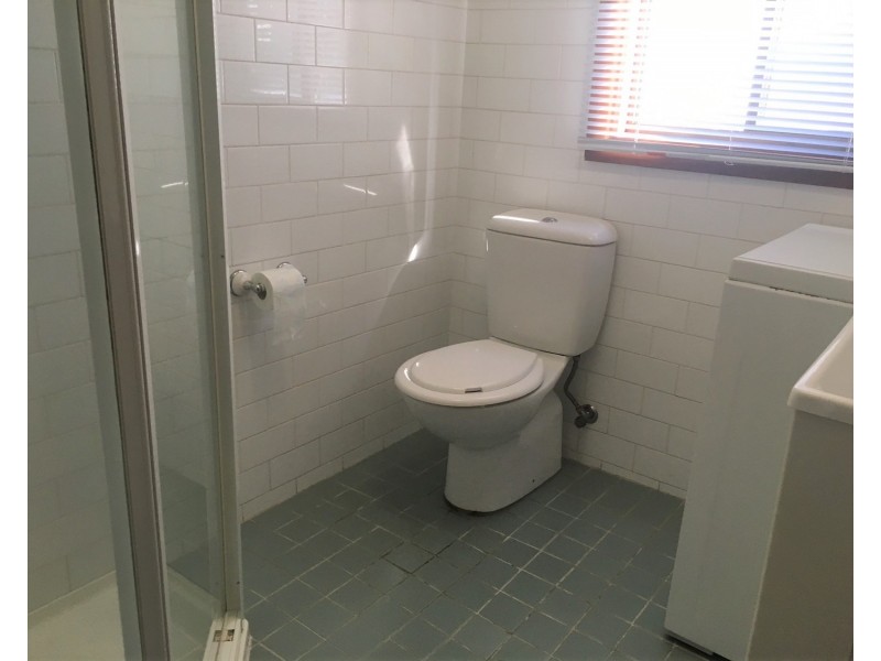 8 Clancy Street, Padstow Heights NSW 2211