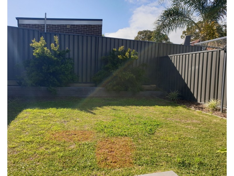 24A Austin Boulevard, Picnic Point NSW 2213