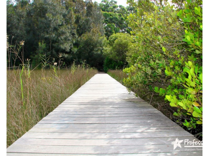 1A Tallawarra Avenue, Padstow NSW 2211