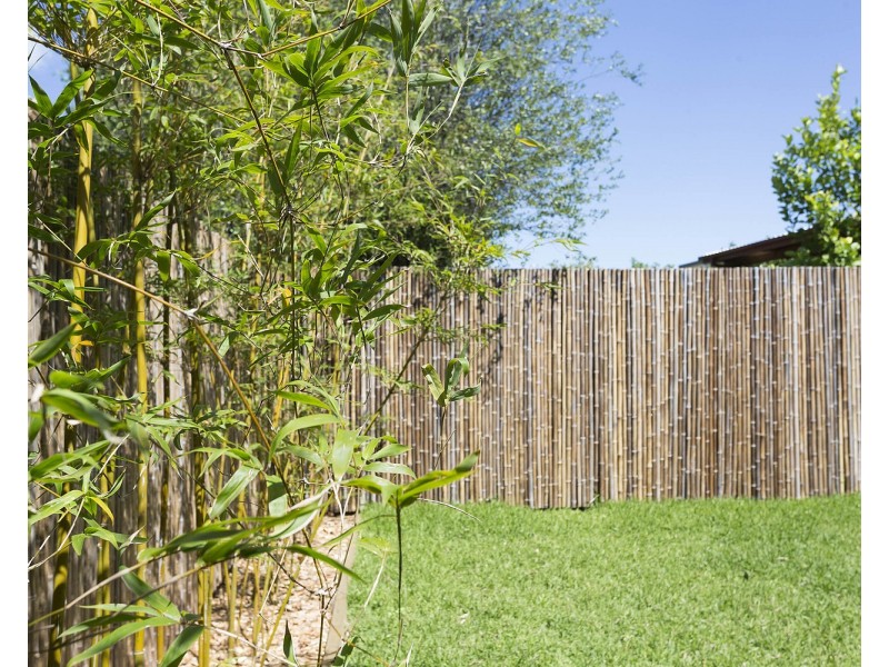 5A Dove Street, Revesby NSW 2212