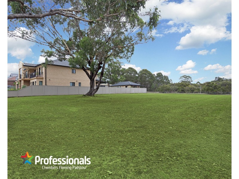 64 Australia Street, Bass Hill NSW 2197