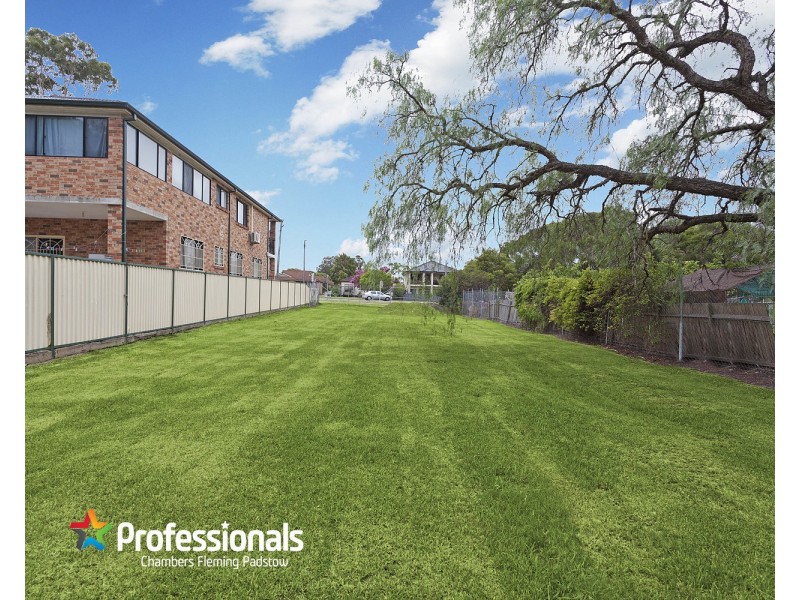 69 Waldron Road, Chester Hill NSW 2162