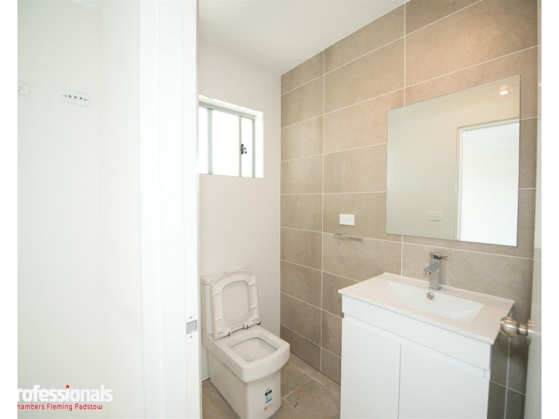 58 Joyce Street, Punchbowl NSW 2196