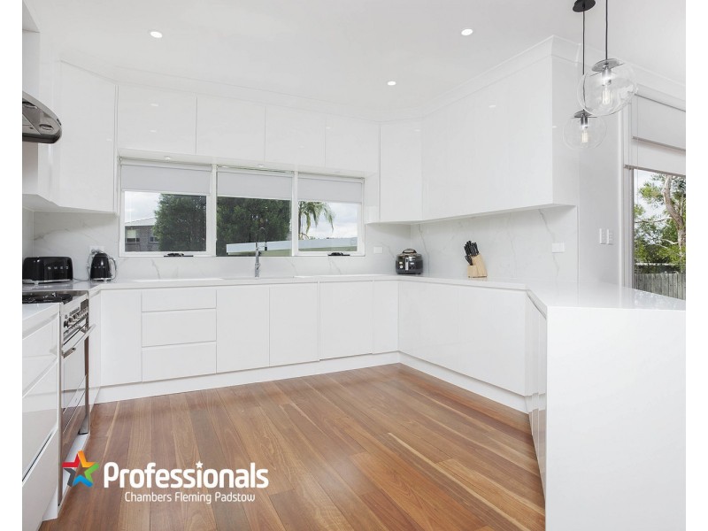 36 Irene Street, Panania NSW 2213