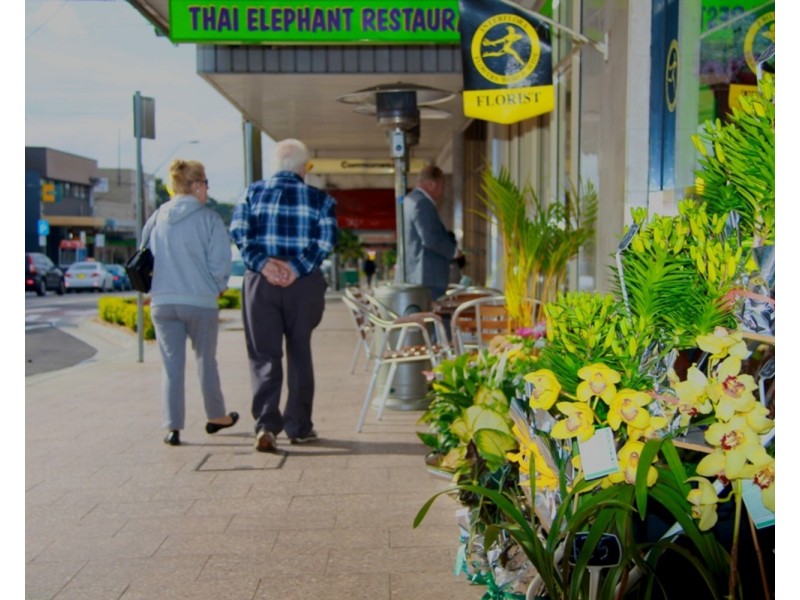 40 Stephanie Street, Padstow NSW 2211