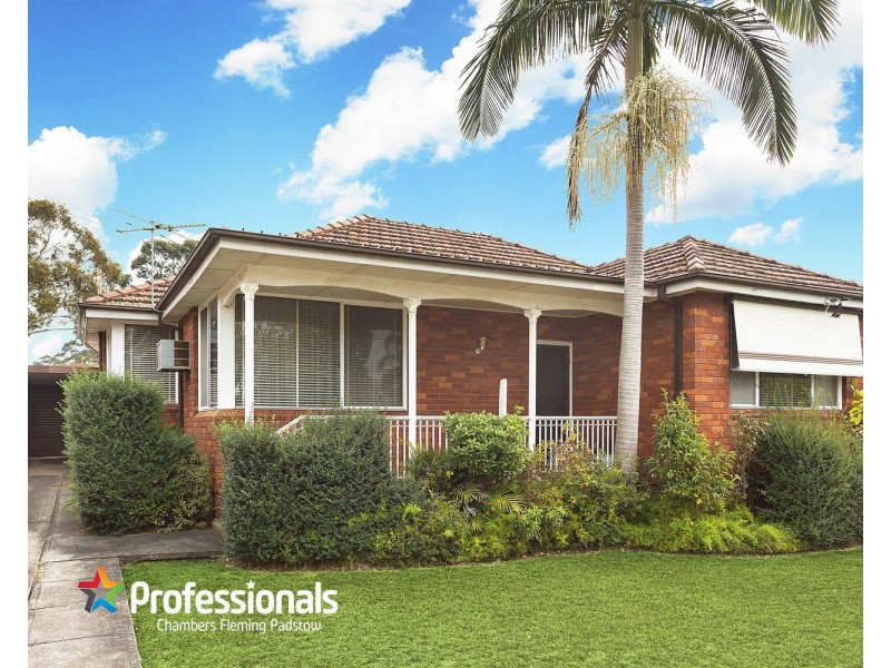 17 Bruce Avenue, Panania NSW 2213