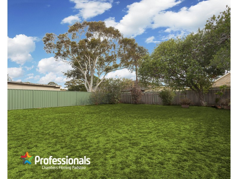 17 Bruce Avenue, Panania NSW 2213