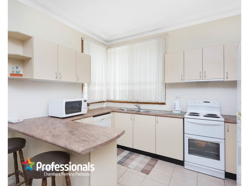 17 Bruce Avenue, Panania NSW 2213