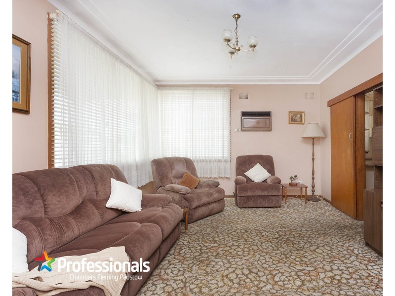 17 Bruce Avenue, Panania NSW 2213