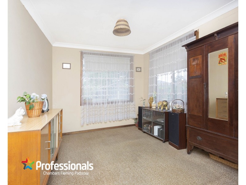 17 Bruce Avenue, Panania NSW 2213