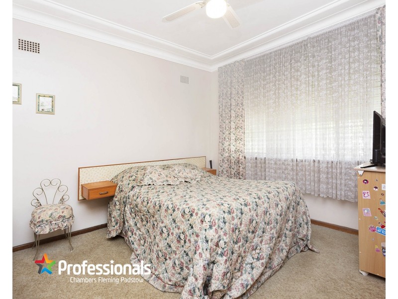 17 Bruce Avenue, Panania NSW 2213