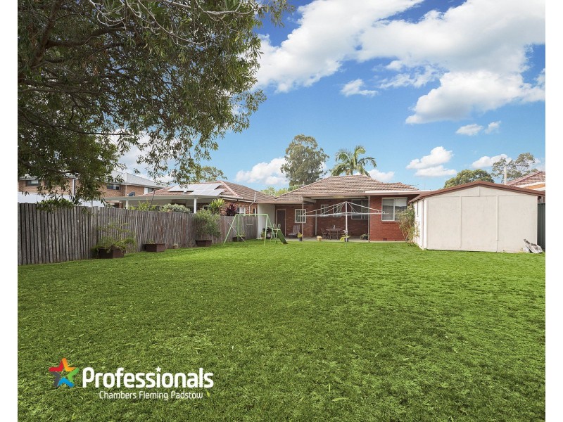 17 Bruce Avenue, Panania NSW 2213