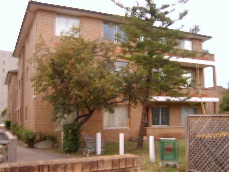 24 Parkes Street, Parramatta NSW 2150