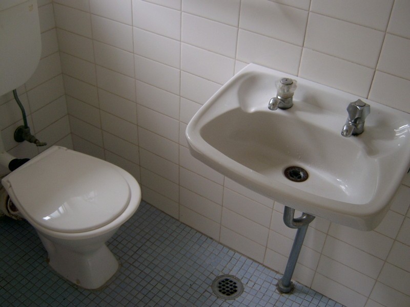 3 Dunlop Street, North Parramatta NSW 2151