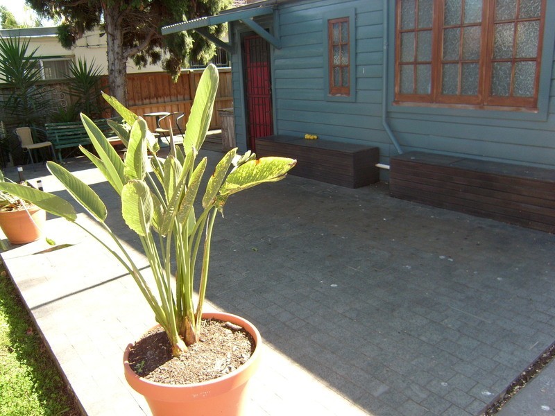 59 Ross Street, Parramatta NSW 2150