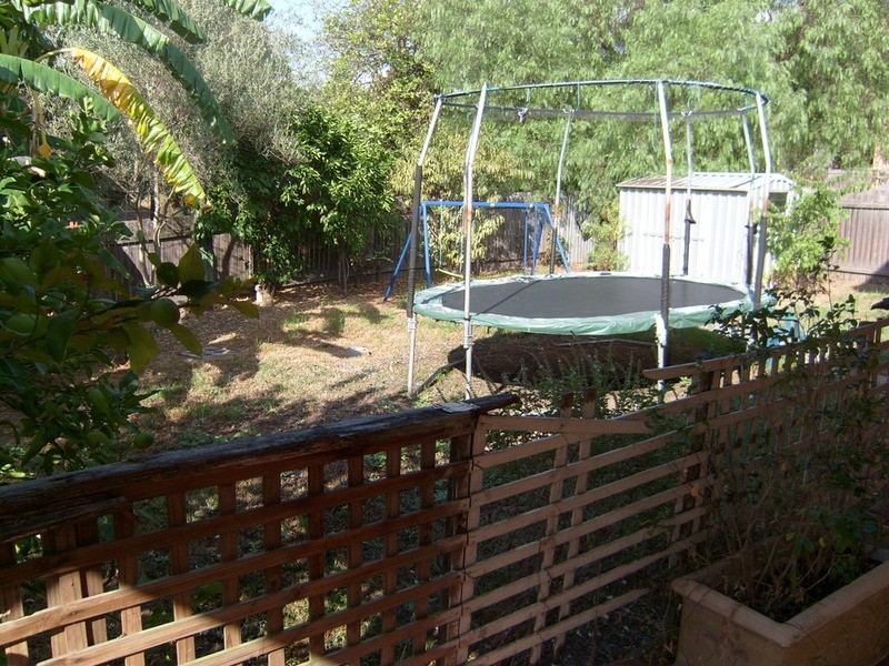 53 Grose Street, North Parramatta NSW 2151