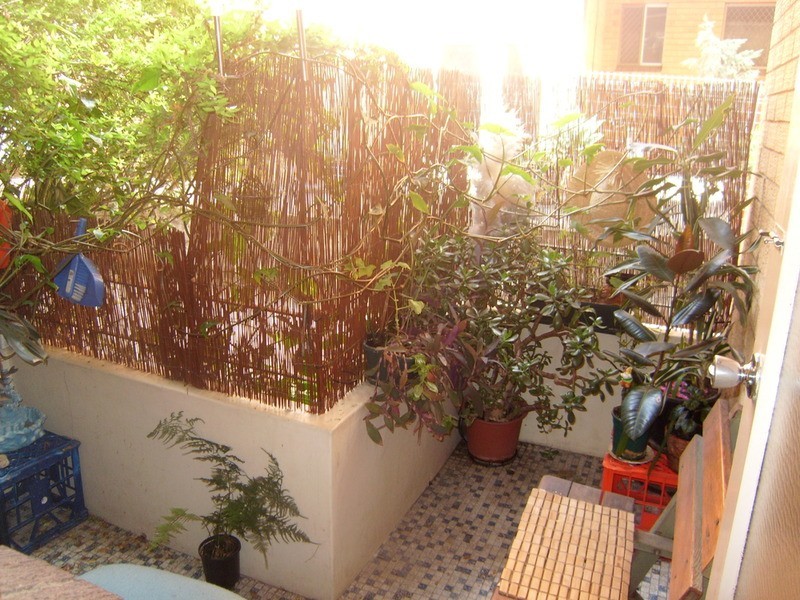 15 Alice Street, Harris Park NSW 2150