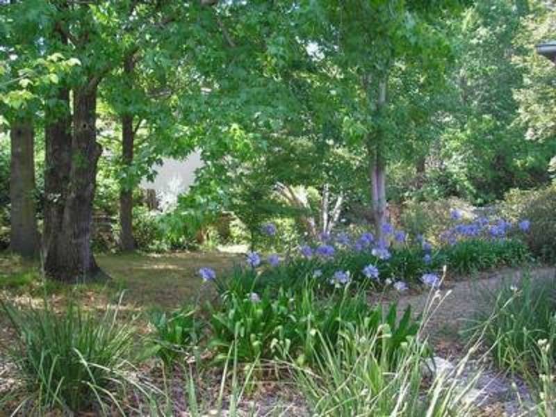 41 Park Street, Glenbrook NSW 2773