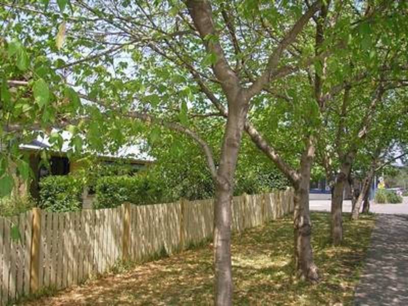 41 Park Street, Glenbrook NSW 2773