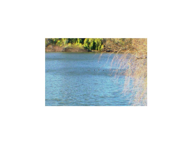 Lot 2 Riverside Road, Emu Heights NSW 2750