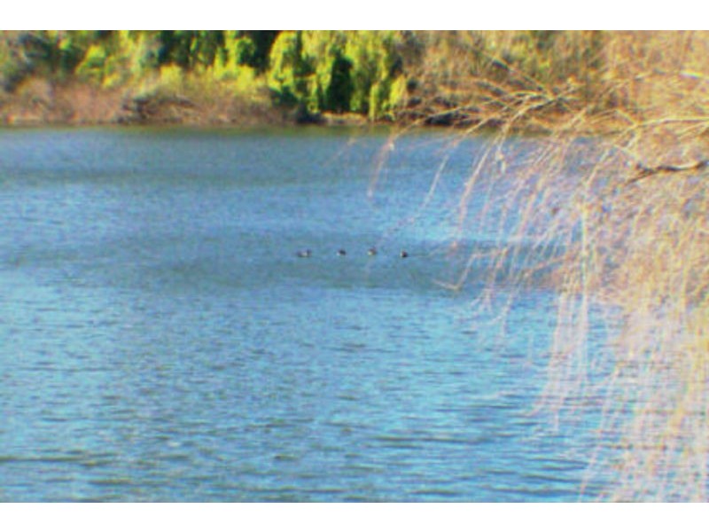 Lot 2 Riverside Road, Emu Heights NSW 2750