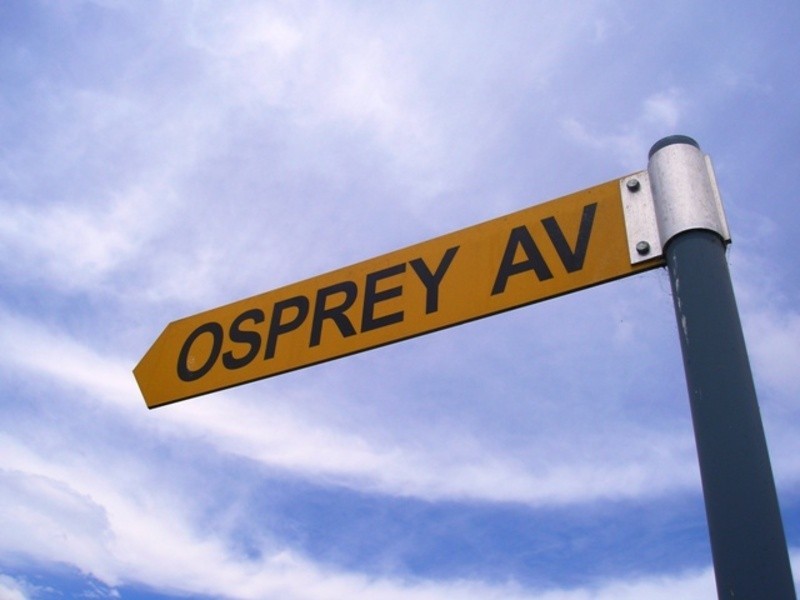 18 Osprey Avenue, Glenmore Park NSW 2745